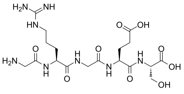 Fibronectin Active Fragment Control Fibronectin Active Fragment Control