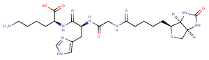 Biotinoyl tripeptide-1 Biotinoyl tripeptide-1