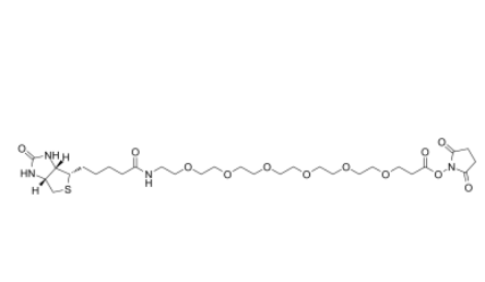 Biotin-PEG6-NHS ester Biotin-PEG6-NHS ester