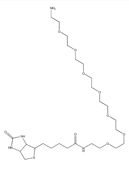Biotin-PEG7-Amine