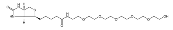 生物素-六聚乙二醇-羥基