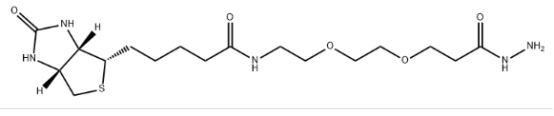 Biotin-PEG2-hydrazide