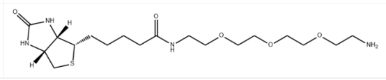 Biotin-PEG4-amine