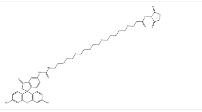 5-FITC-PEG6-NHS ester CAS1818294-35-7 熒光素-六聚乙二醇-NHS 酯
