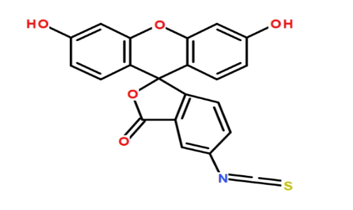 PLGA-SS-PEG-FITC，聚乳酸-羥基乙酸共聚物-二硫鍵-聚乙二醇-熒光素