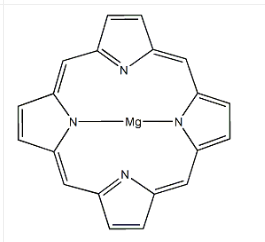 cas:13007-95-9 鎂卟啉