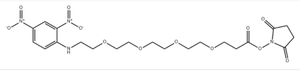 CAS:858126-78-0 DNP-PEG4-NHS ester 