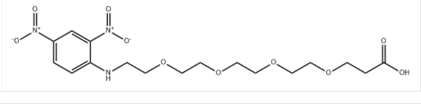 CAS:858126-76-8 DNP-PEG4-acid 
