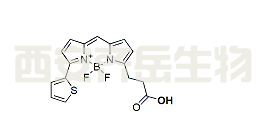 cas:  150173-72-1，BDP 558/568 carboxylic acid