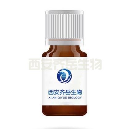 NCO-PEG-Alkyne 異氰酸酯聚乙二醇炔基  