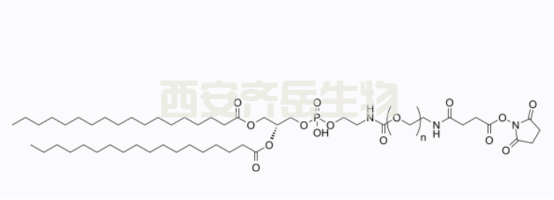 PEG磷脂大家族成員之二:DPSE-PEG-NHS PEG磷脂大家族成員之二:DPSE-PEG-NHS