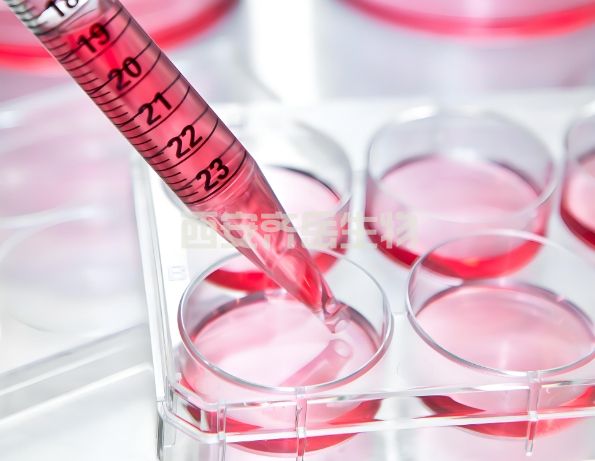 DSPE-PEG-Parasin I DSPE-PEG-LL-37, human DSPE-PEG-Melittin DSPE-PEG-pardaxin(GE33) DSPE-PEG-Magainin 2 DSPE-PEG-Omiganan DSPE-PEG-Bactenecin DSPE-PEG-Cecropin A DSPE-PEG-PGLa