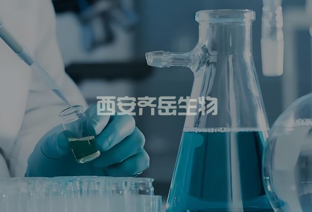 DSPE-PEG-HHC36，DSPE-PEG-KRWWKWWRR，磷脂-聚乙二醇-陽離子抗菌肽