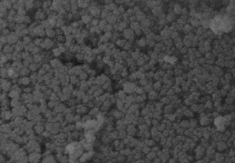 Gold Nanorods，長徑比為5（濃度0.5mg/ml）