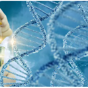 iRGD-PEG-Cy5 環(huán)肽iRGD聚乙二醇花菁Cy5(圖1)