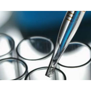 Lys-AuNPs@ZIF-8納米復(fù)合材料 Lys-AuNPs@ZIF-8納米復(fù)合材料